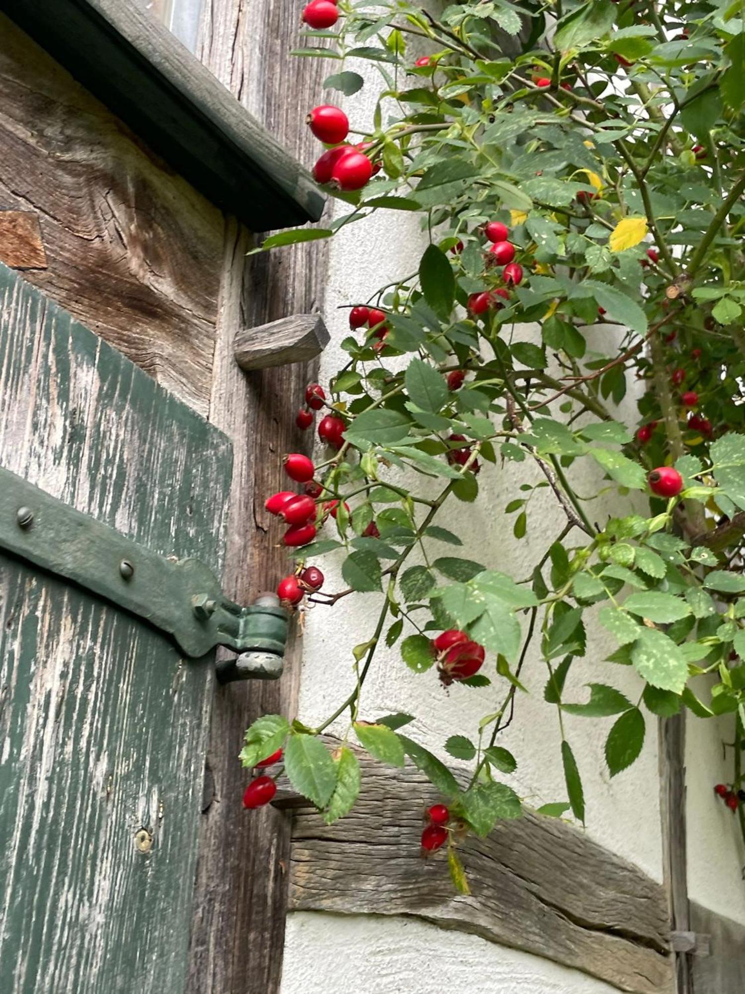 Cherrytree Cottage 1840 Heimbach Exteriör bild